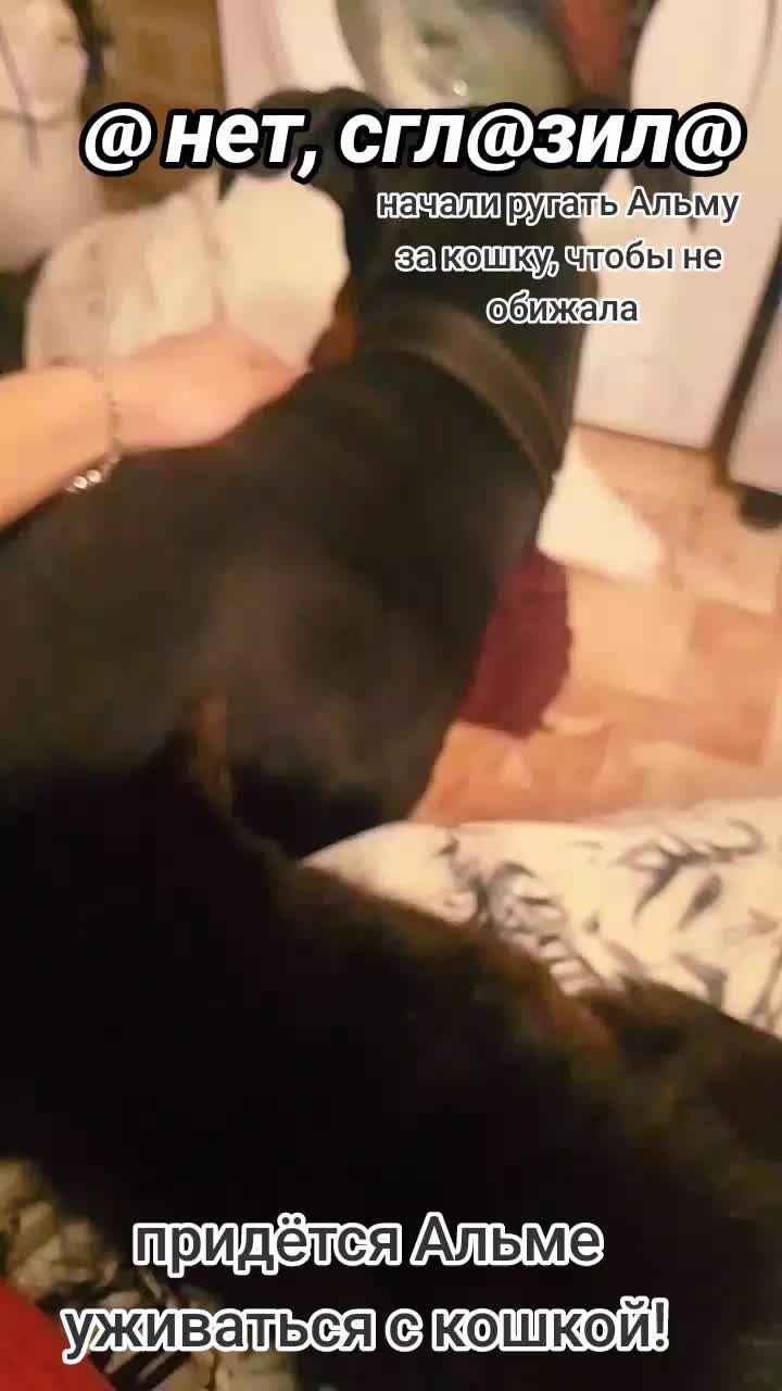 @̴Д̴О̴Б̴Е̴Р̴М̴А̴Н ̴А̴Л̴Ь̴М̴А🖤