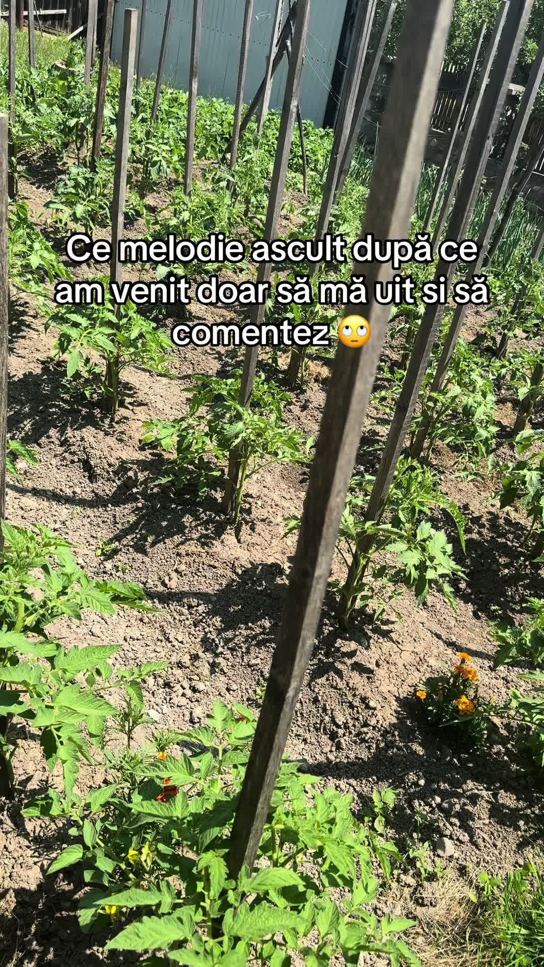 @Bia Popescu Stanciu
