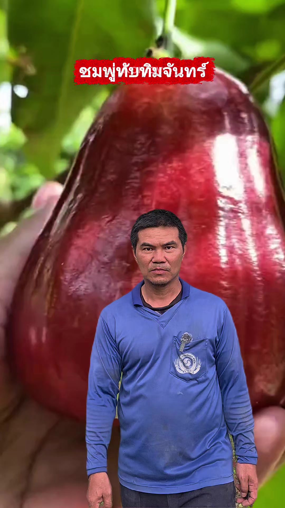 @Konloy