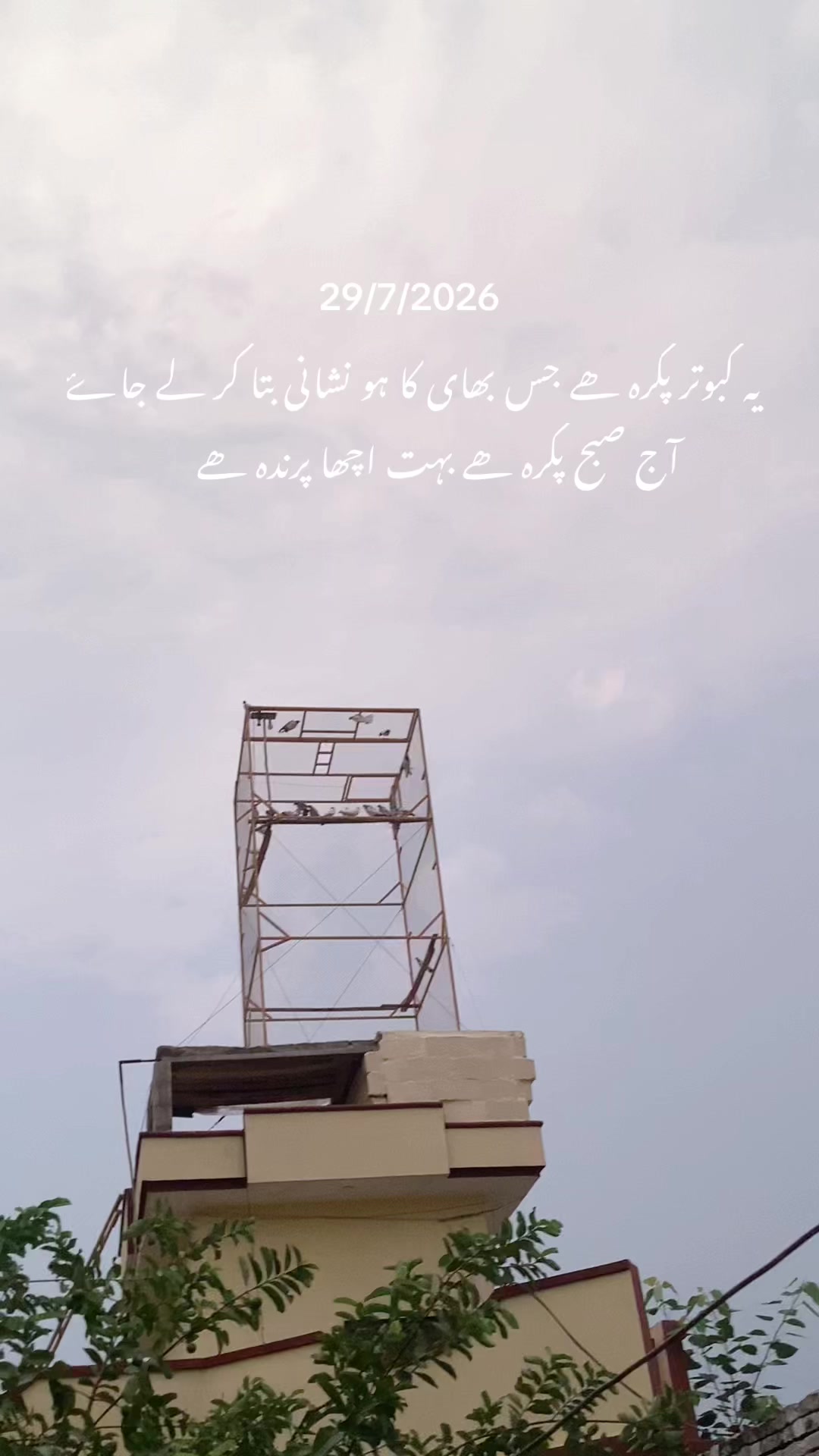 @hassnani68