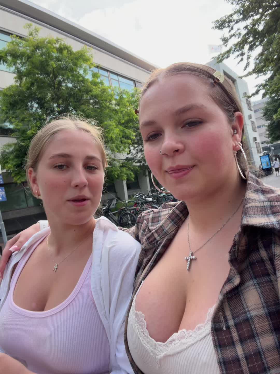 @hamsters