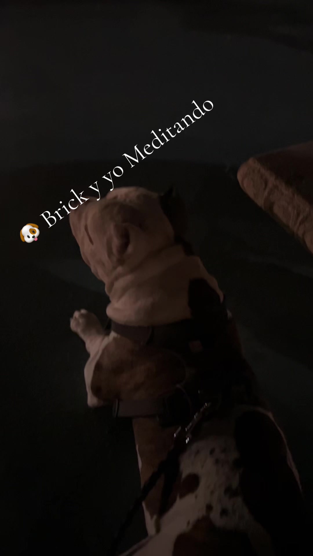 @๐ค๐๐ช๐๐ป๐ช๐จ๐ท๐๐ผ๐ฎ๐ต๐ช๐ค