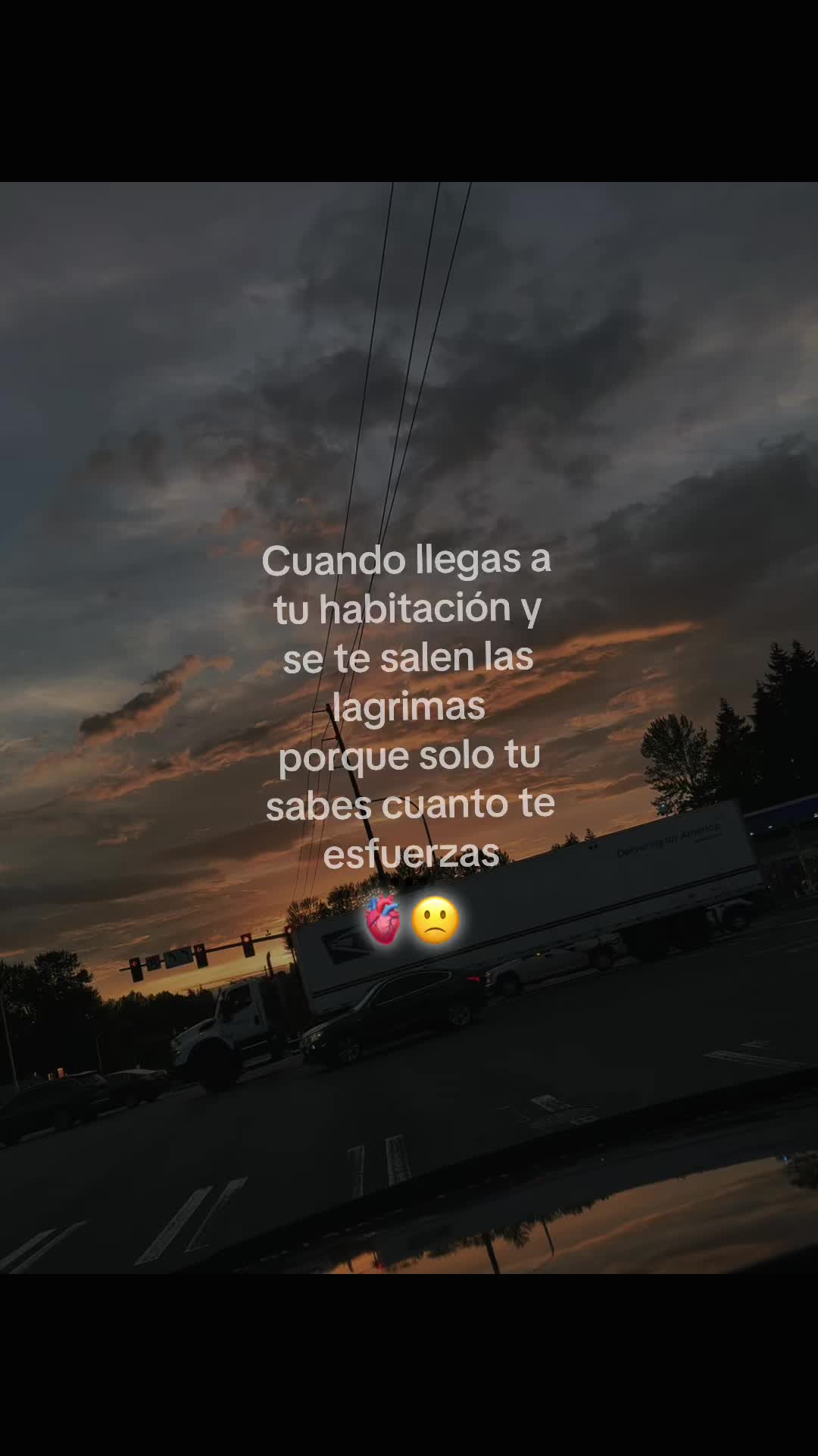 @Lobo Solitario ๐บ๐บ