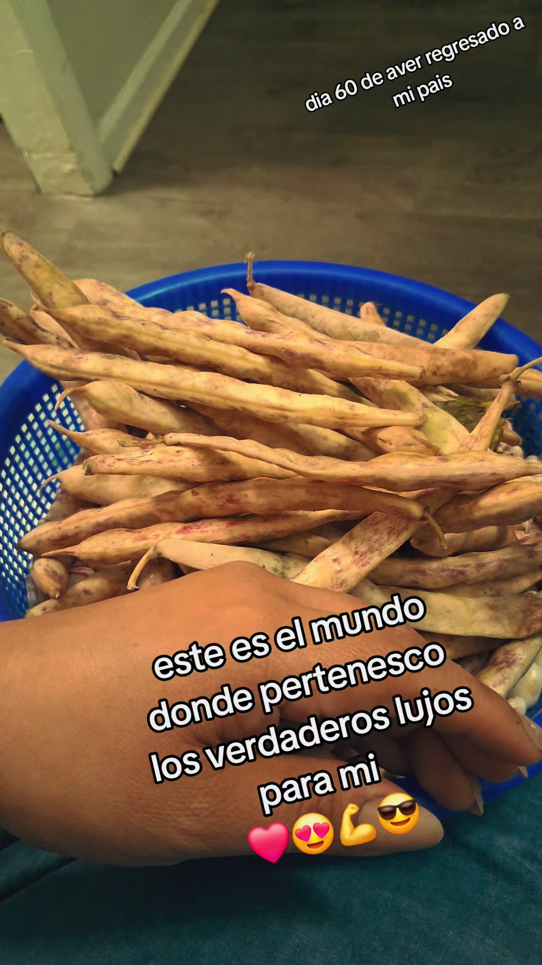 @manueldejesus502