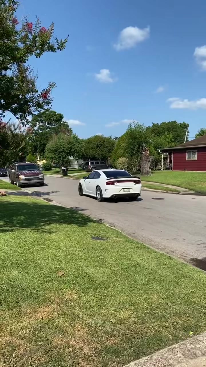 @Onefastscat