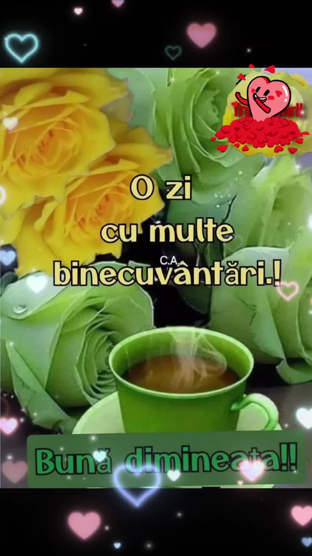 @Nicolae Iamandi Marin