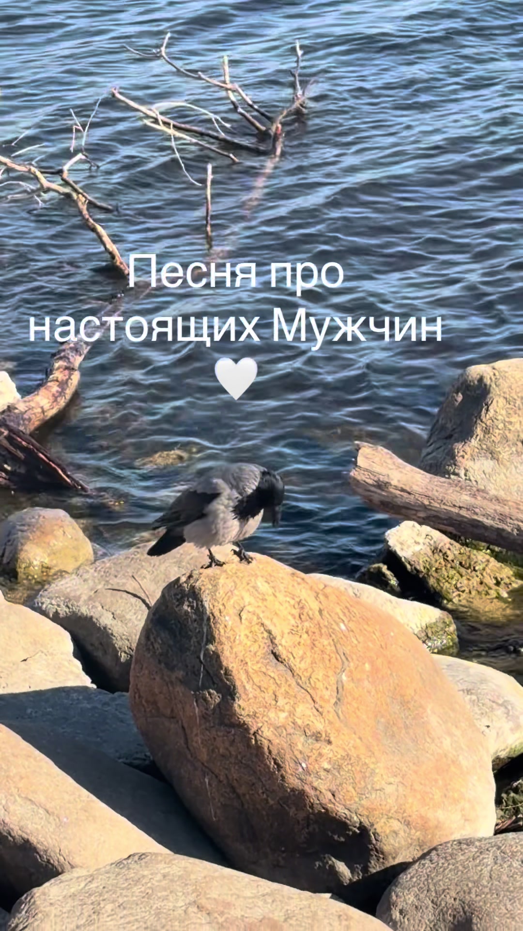 @Laura4444444