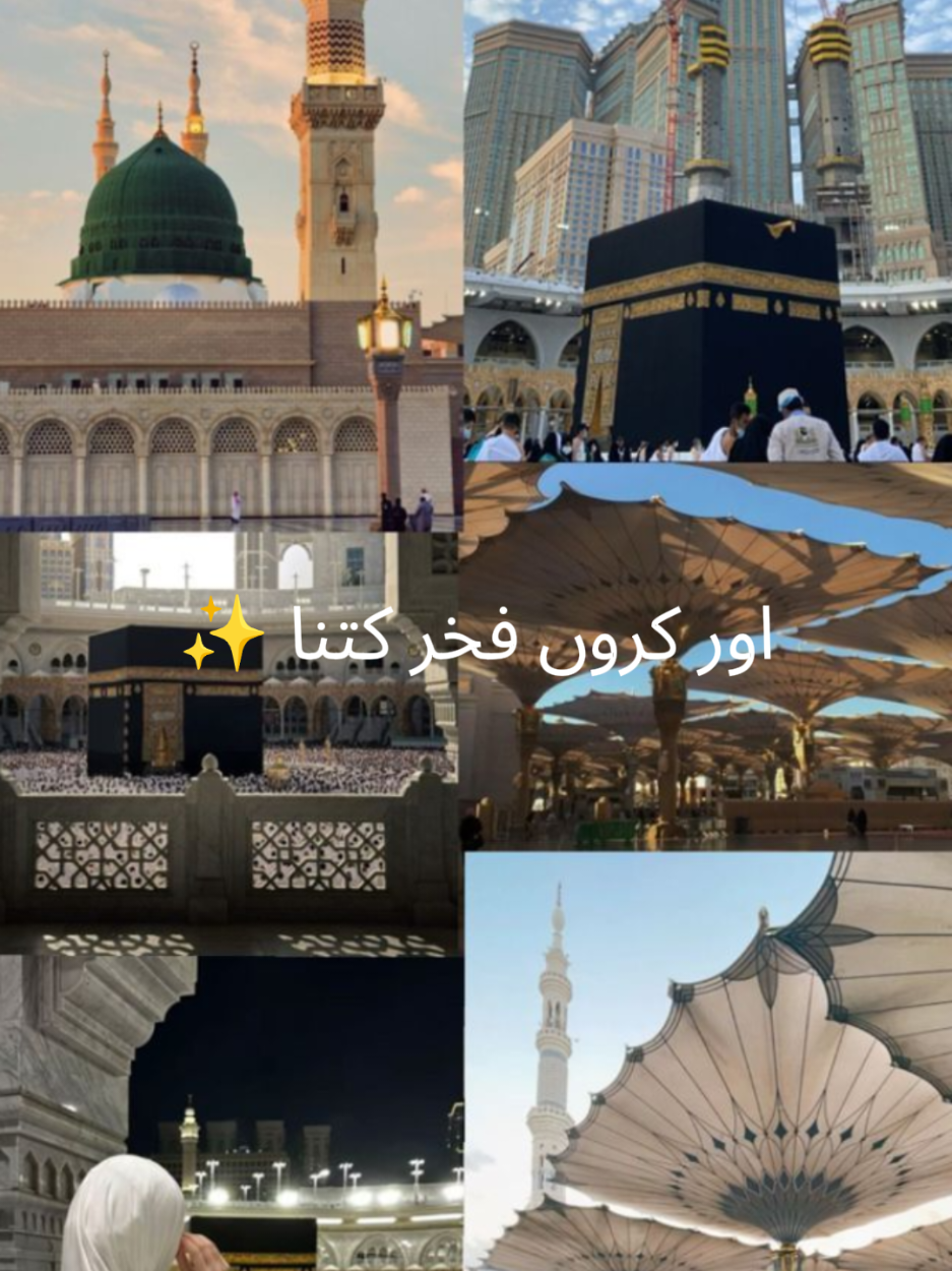 @🌸Islamic_Reminders🌸