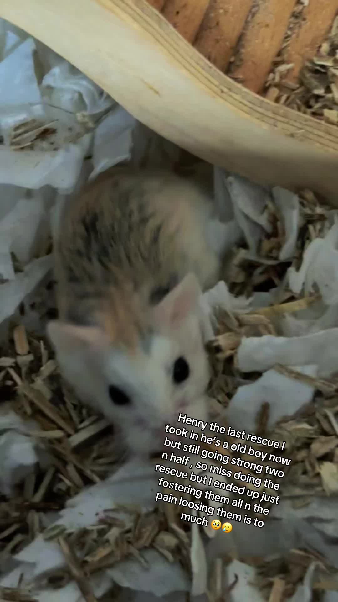 @Jaymi Marie Keane 🥰