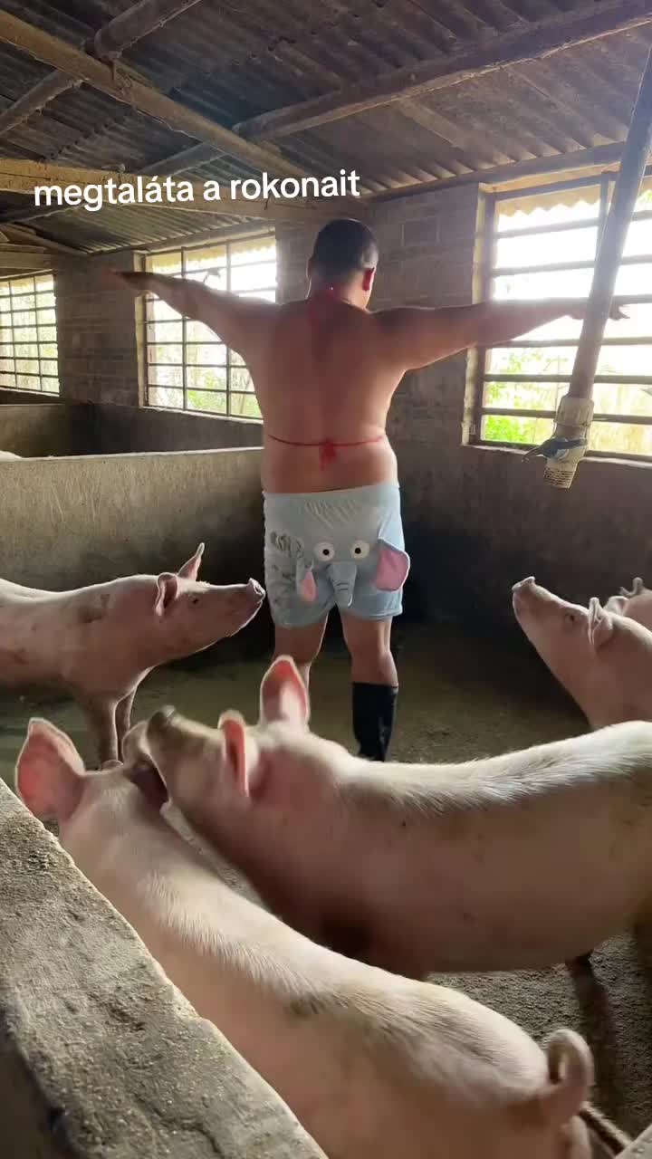 @💥video mània*