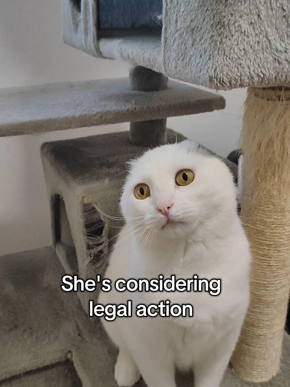 @Fluffy and Pixie
