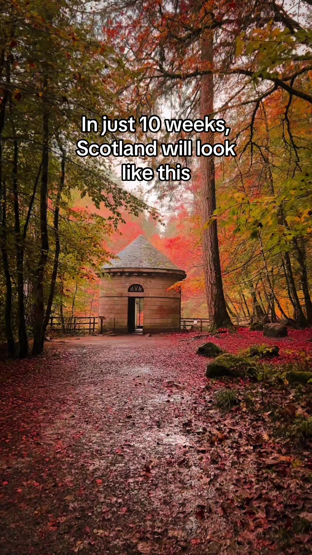 @John Murray - Scotland