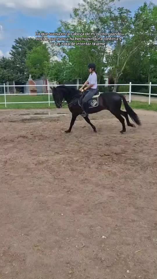 @Bomb&oacute;n😈