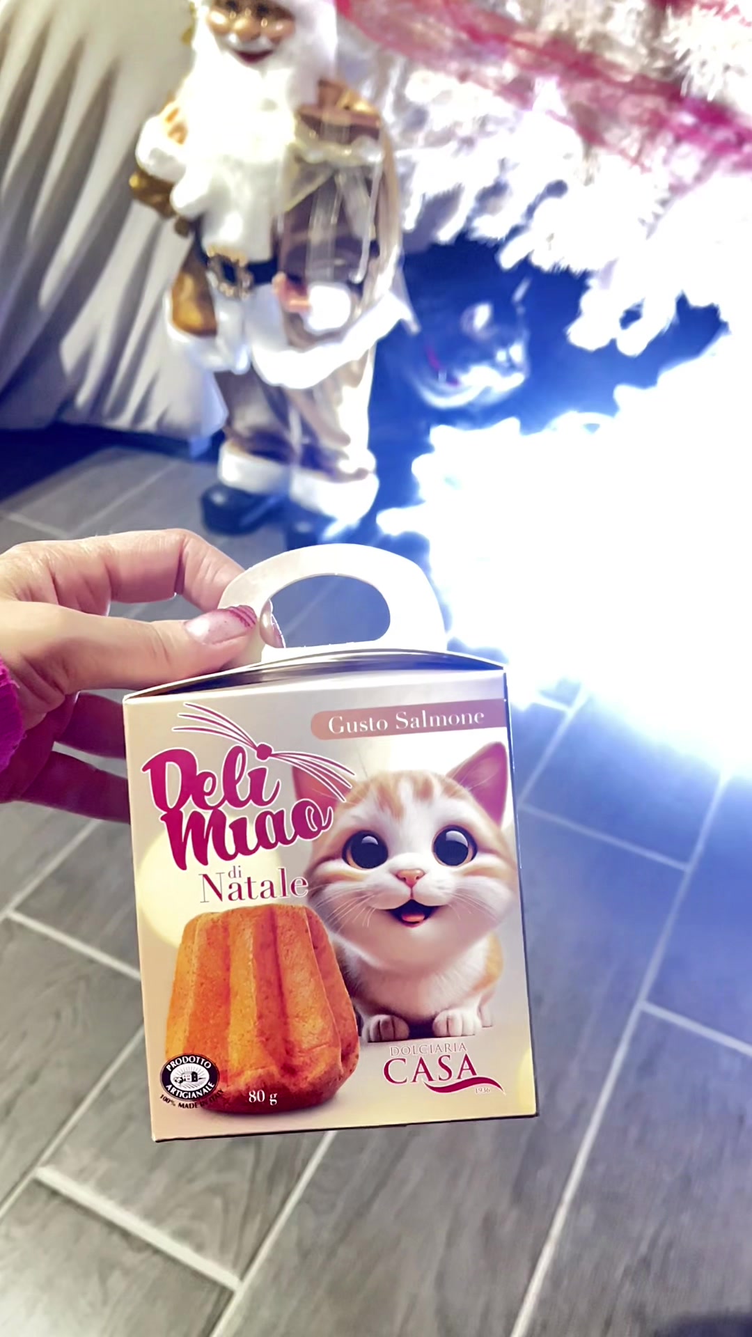 @🐾 𝒦𝒶t 🐾