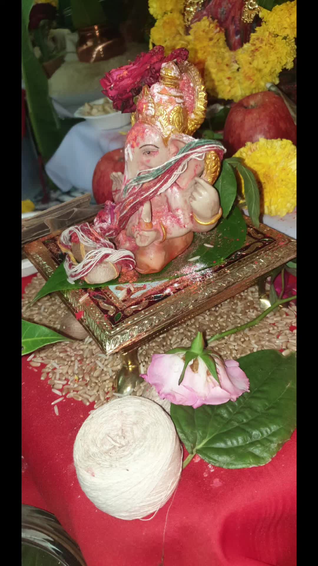@Dipak Labxencor