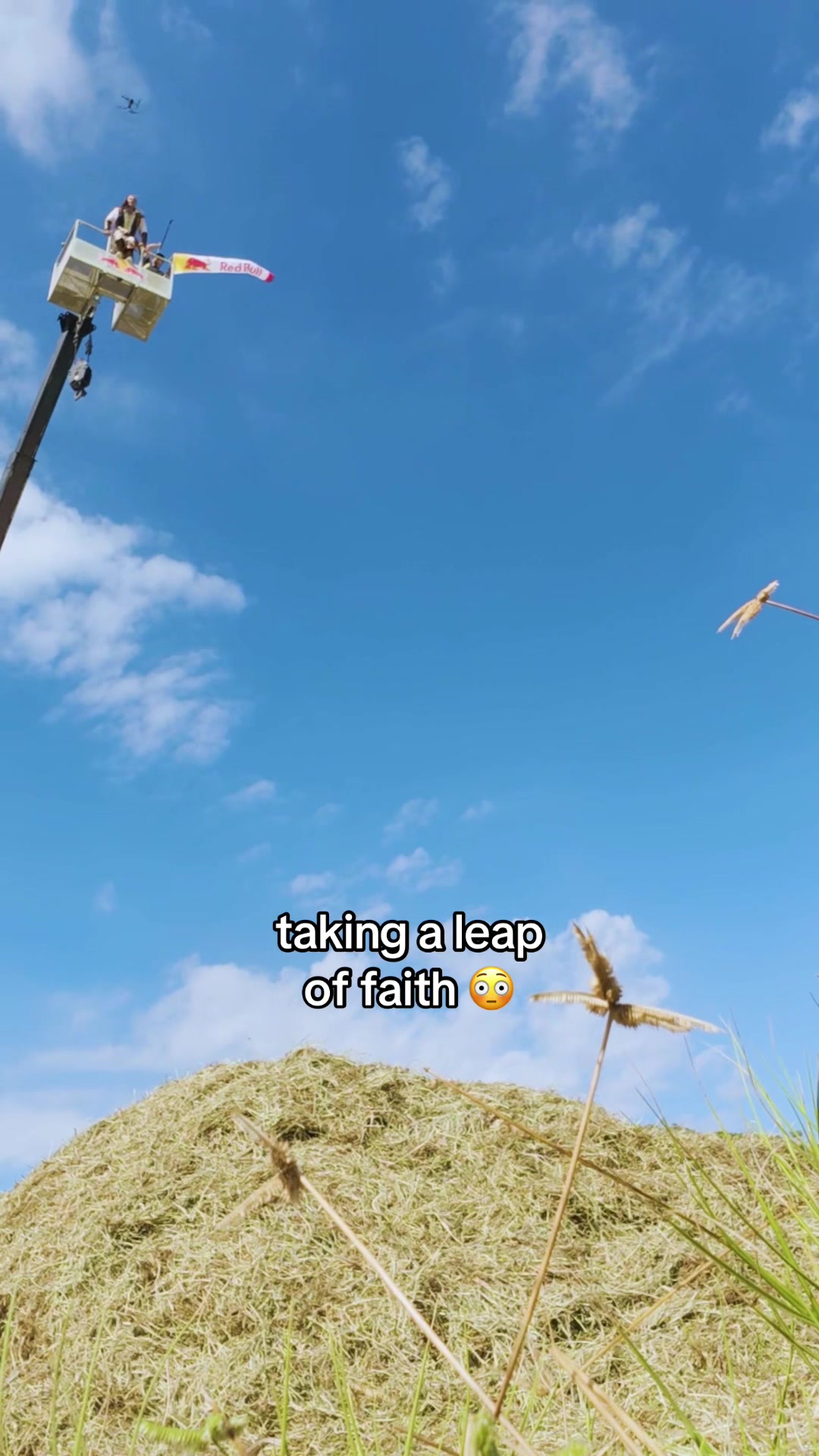 @Red Bull USA