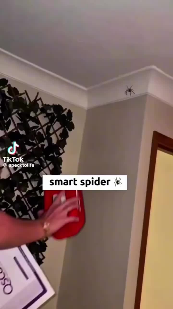 @JasonWillSr