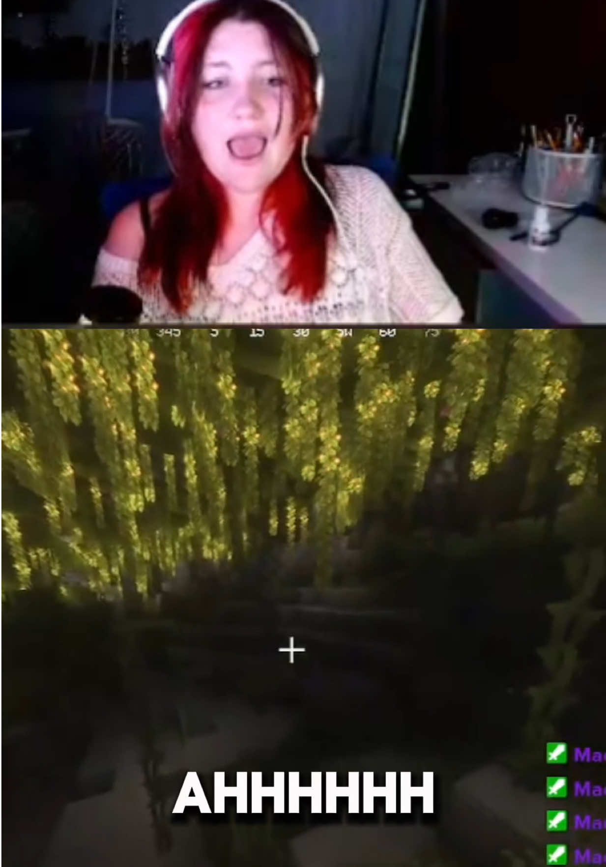 @twitch | haylitt