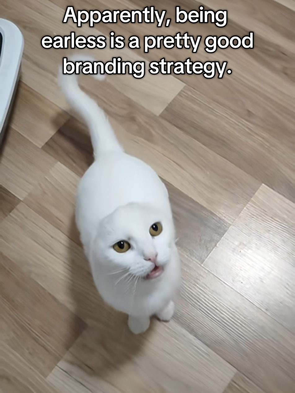 @Fluffy and Pixie