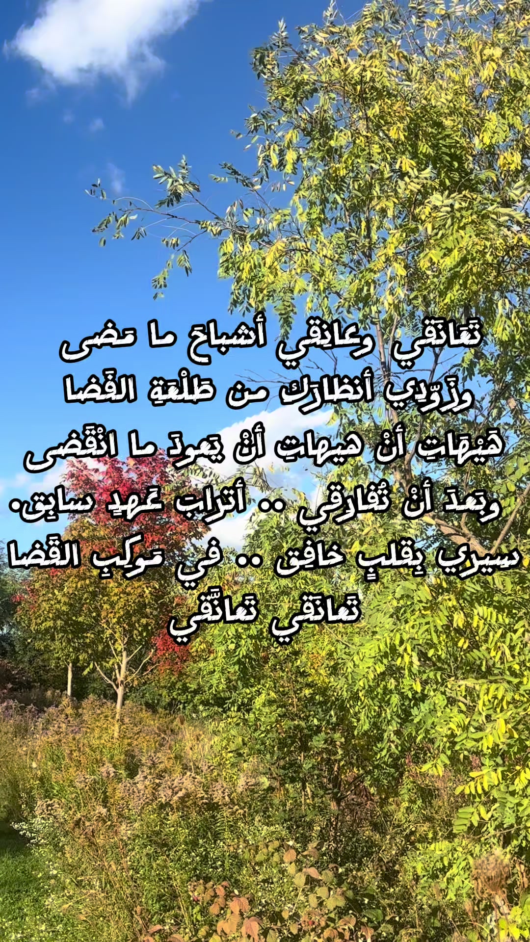 @ahmed.hameidi