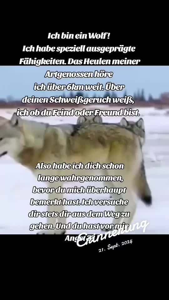 @Schutz für Wolf und Weide 🇦🇹