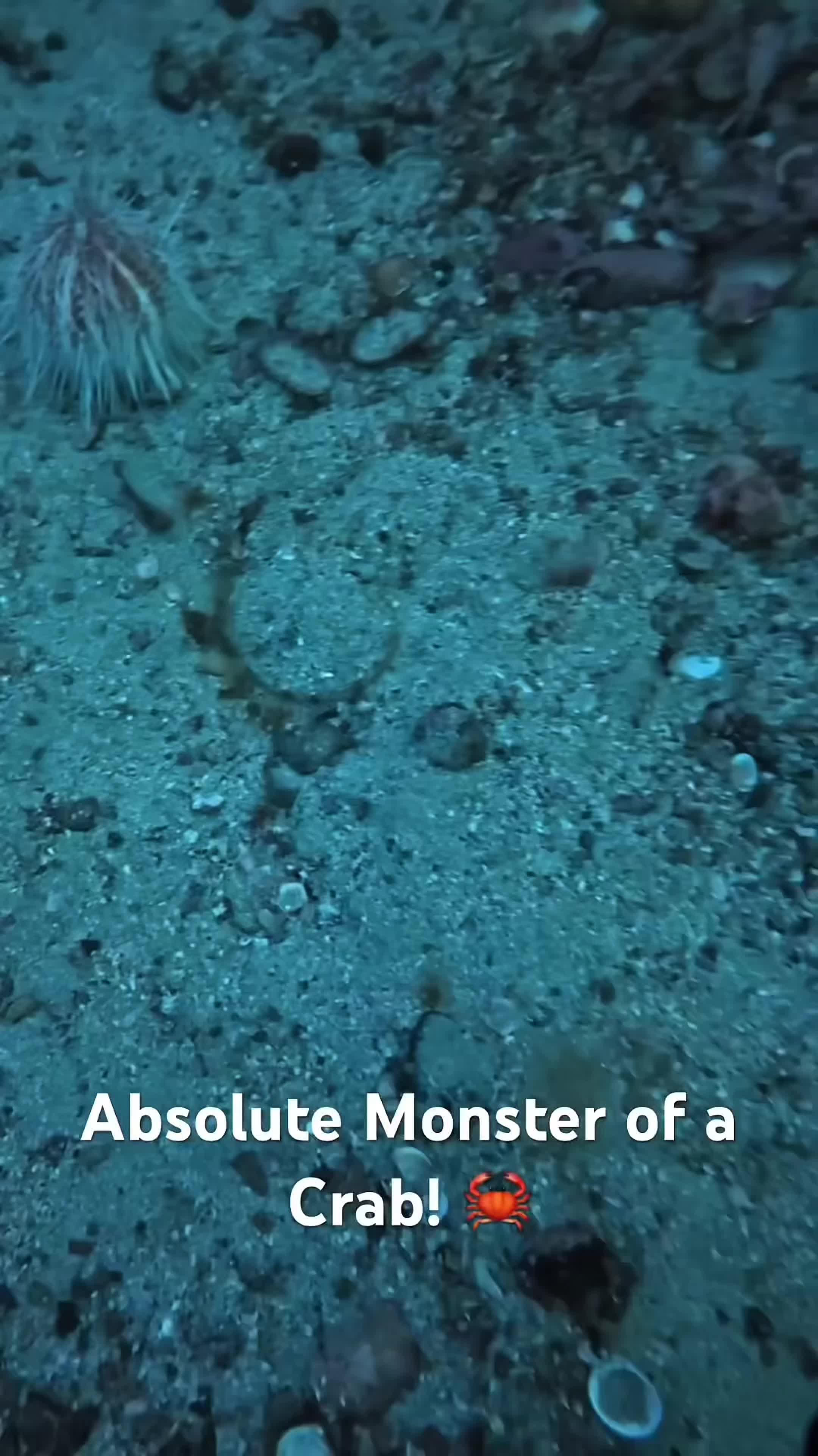 @fishy7780