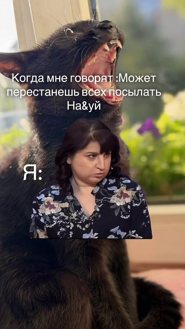 @🧁 кексик🧁