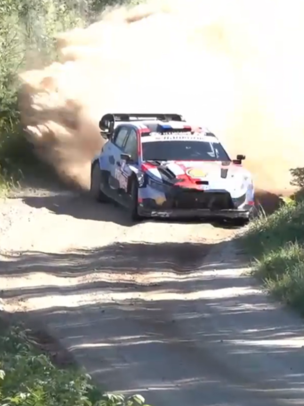 @LB77 Rally
