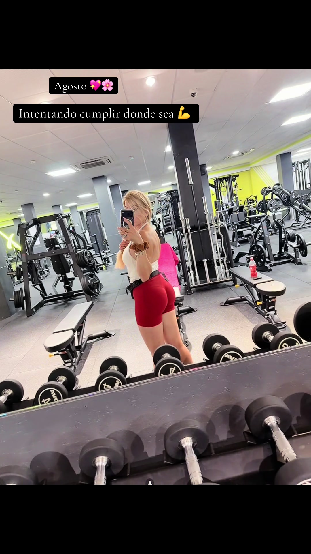 @Dayana880