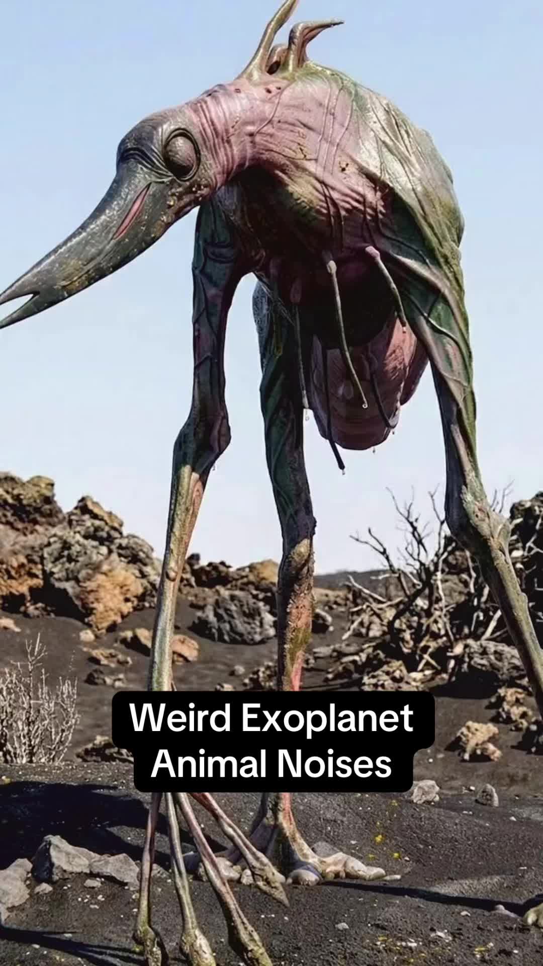 @ExoplanetWildlife