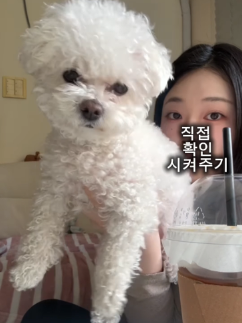 @멍멍일기