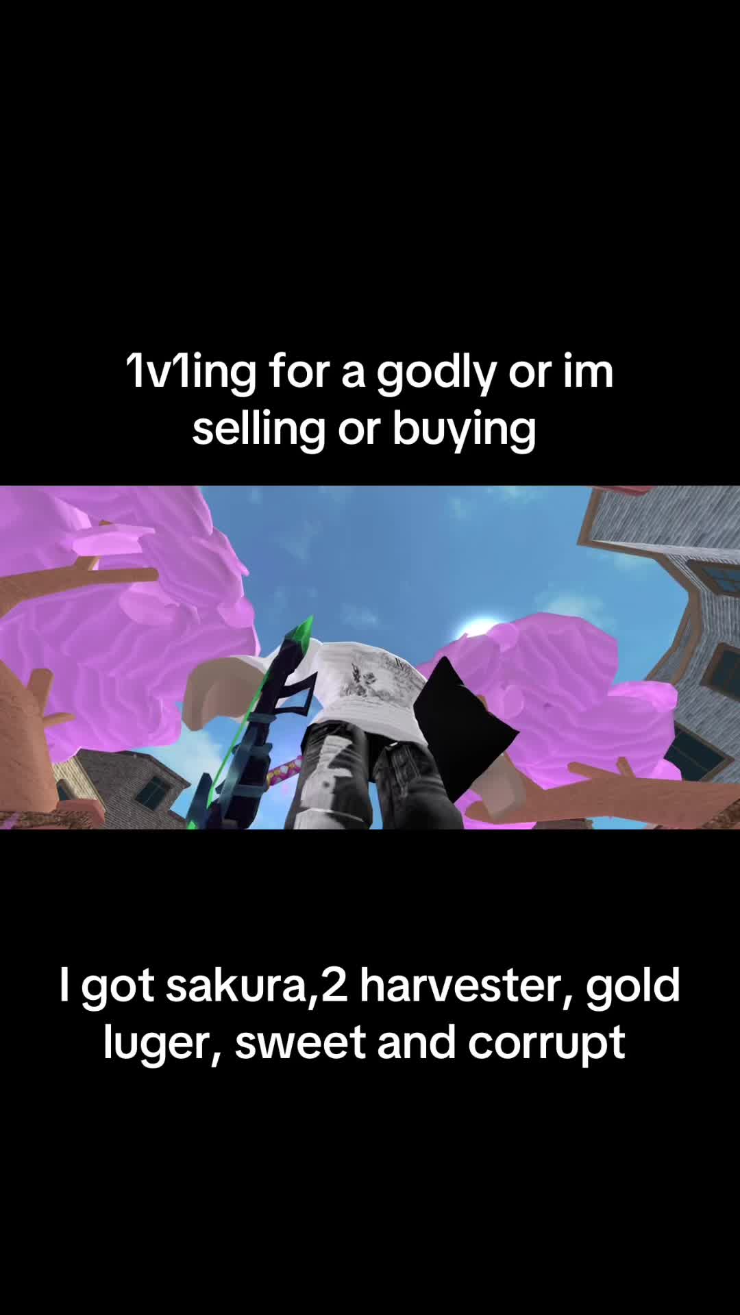 @S🦈