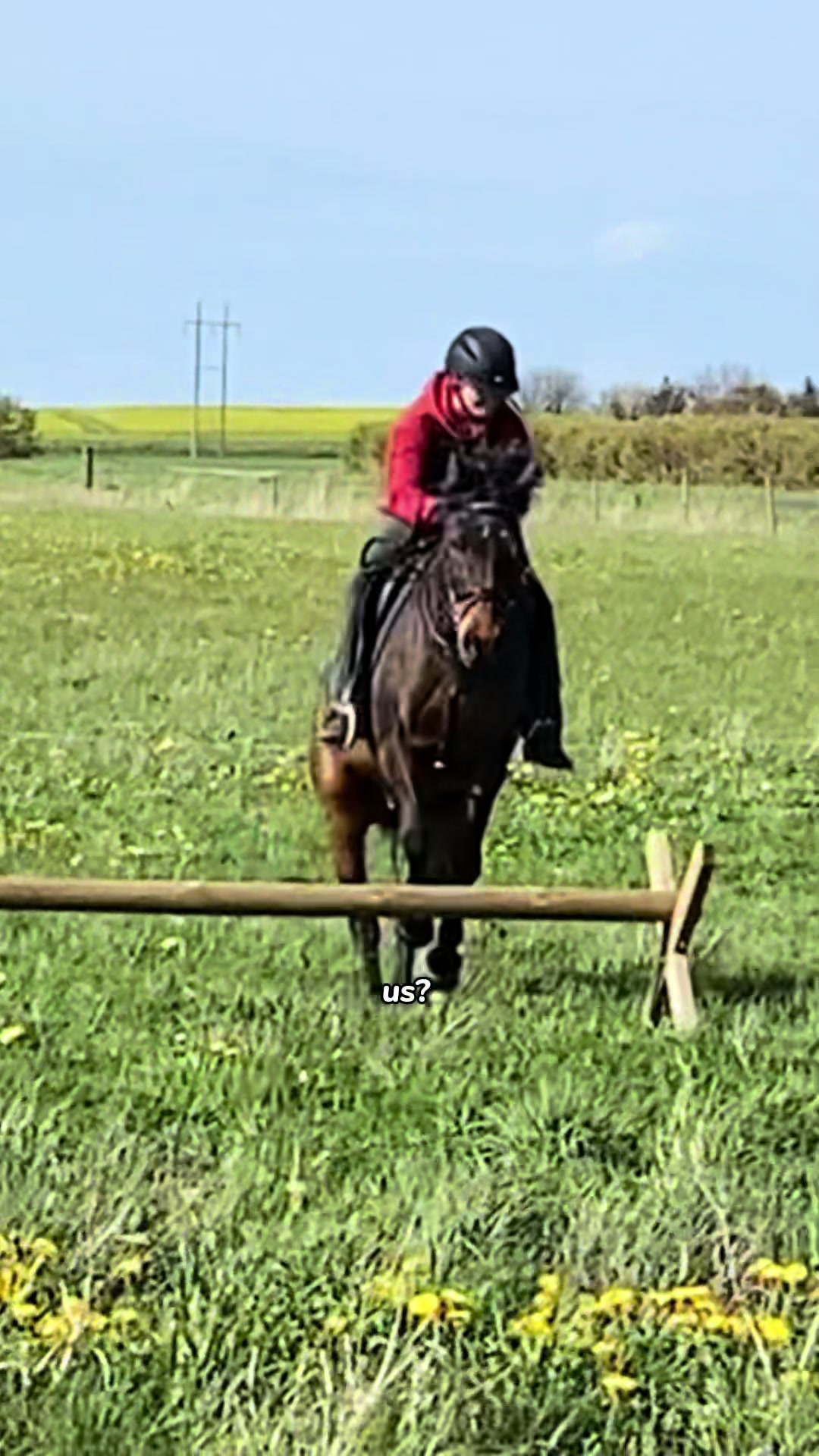 @Kv.equestrian