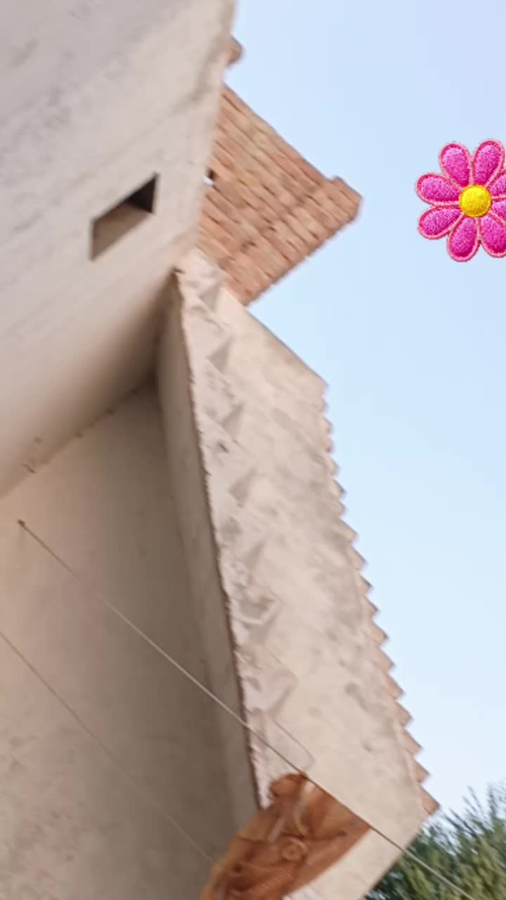 @MR-JAGI_222