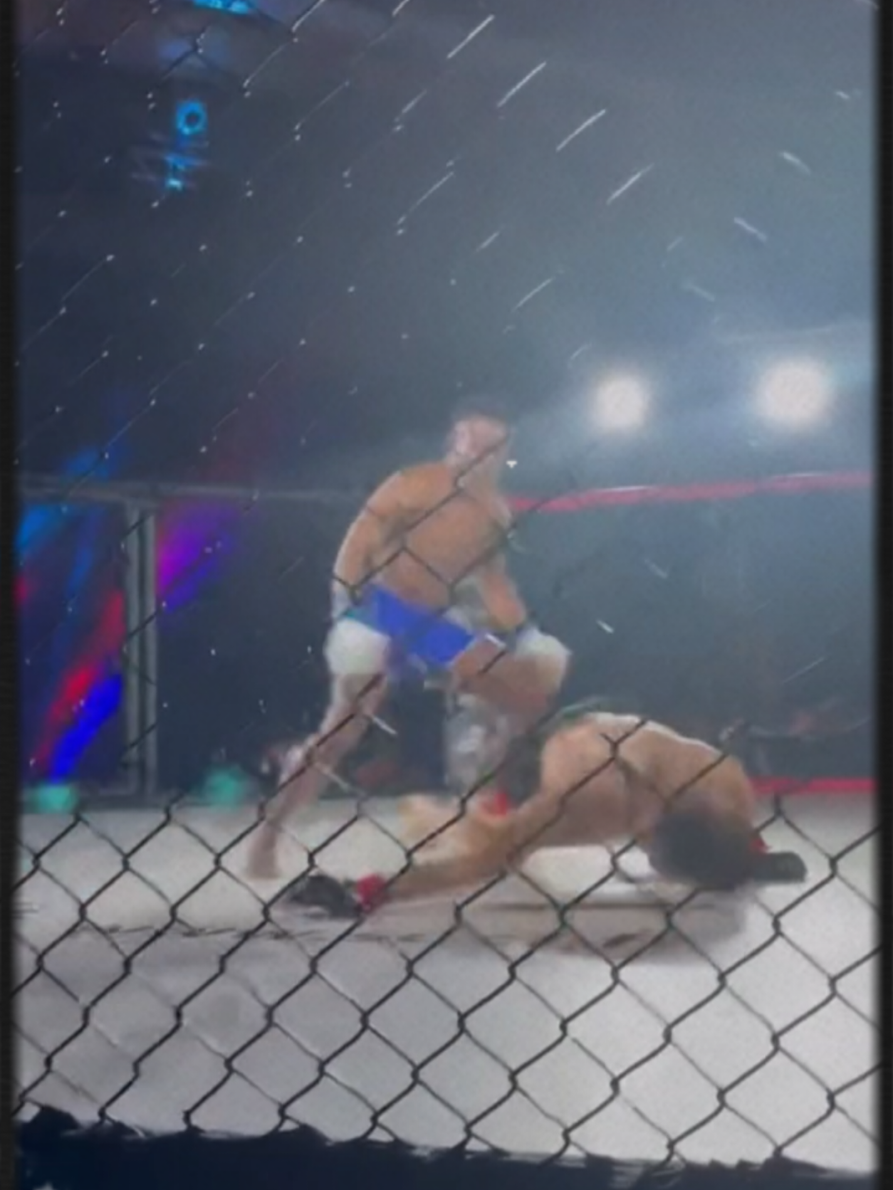 @YofoxMMA