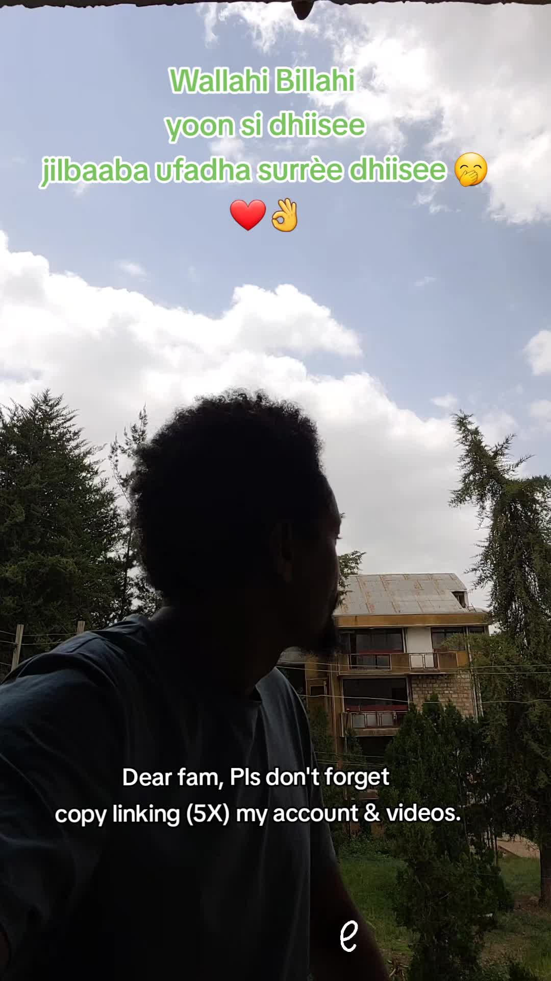 @Muna Tilahun 艾柏