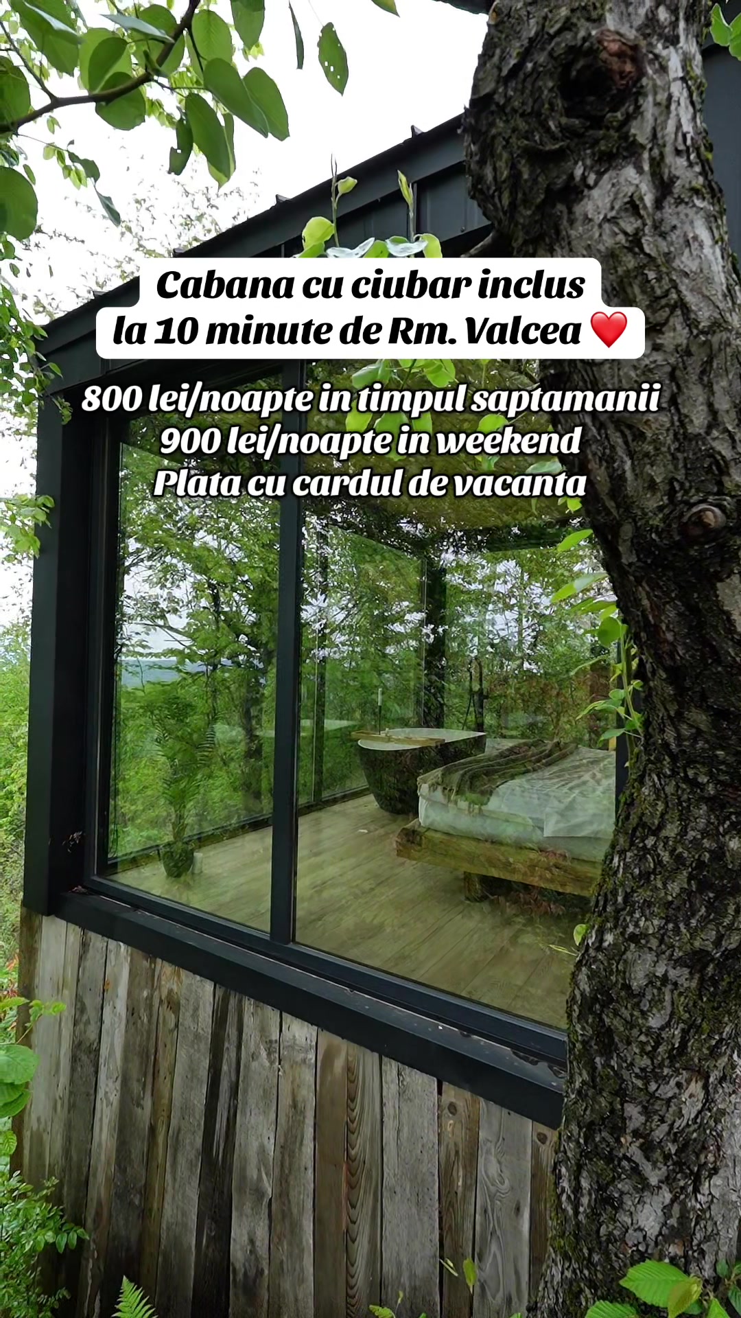 @Forest View Valcea