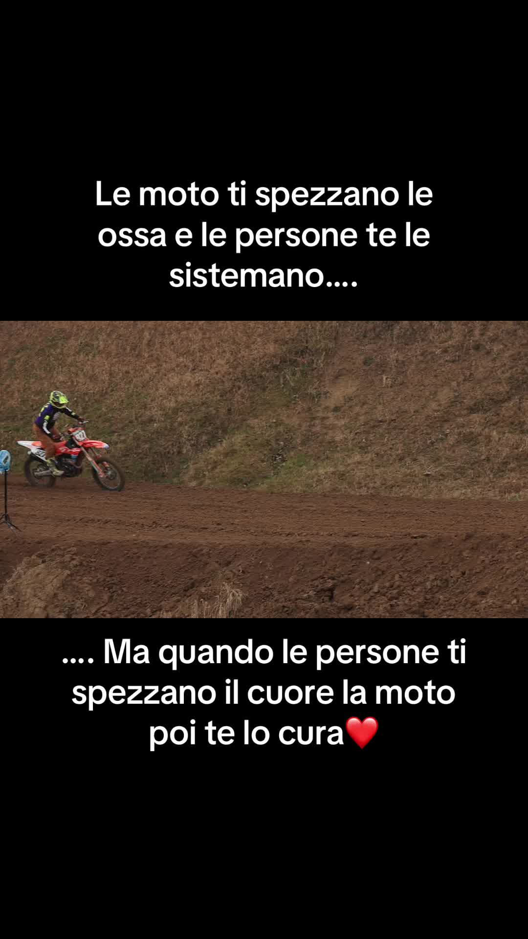 @⭐️WILLY927⭐️