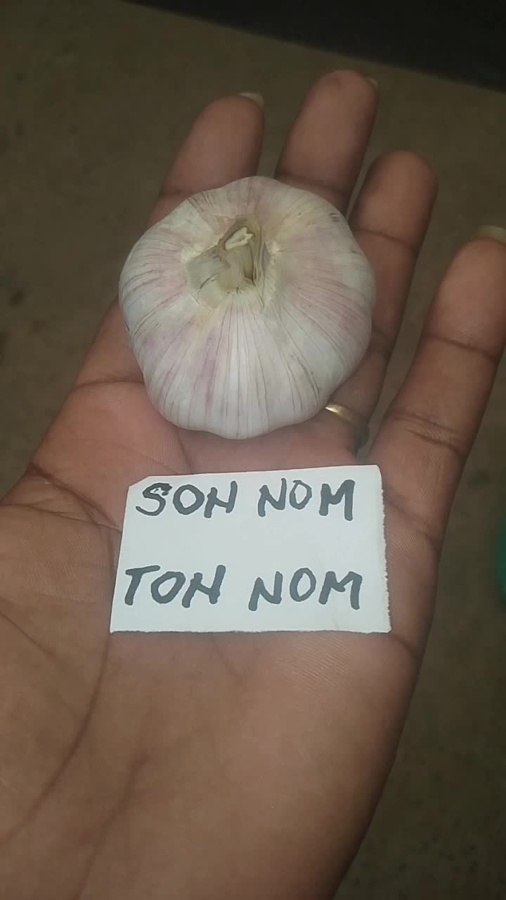 @Dr JUDI Bio🌡️☘️