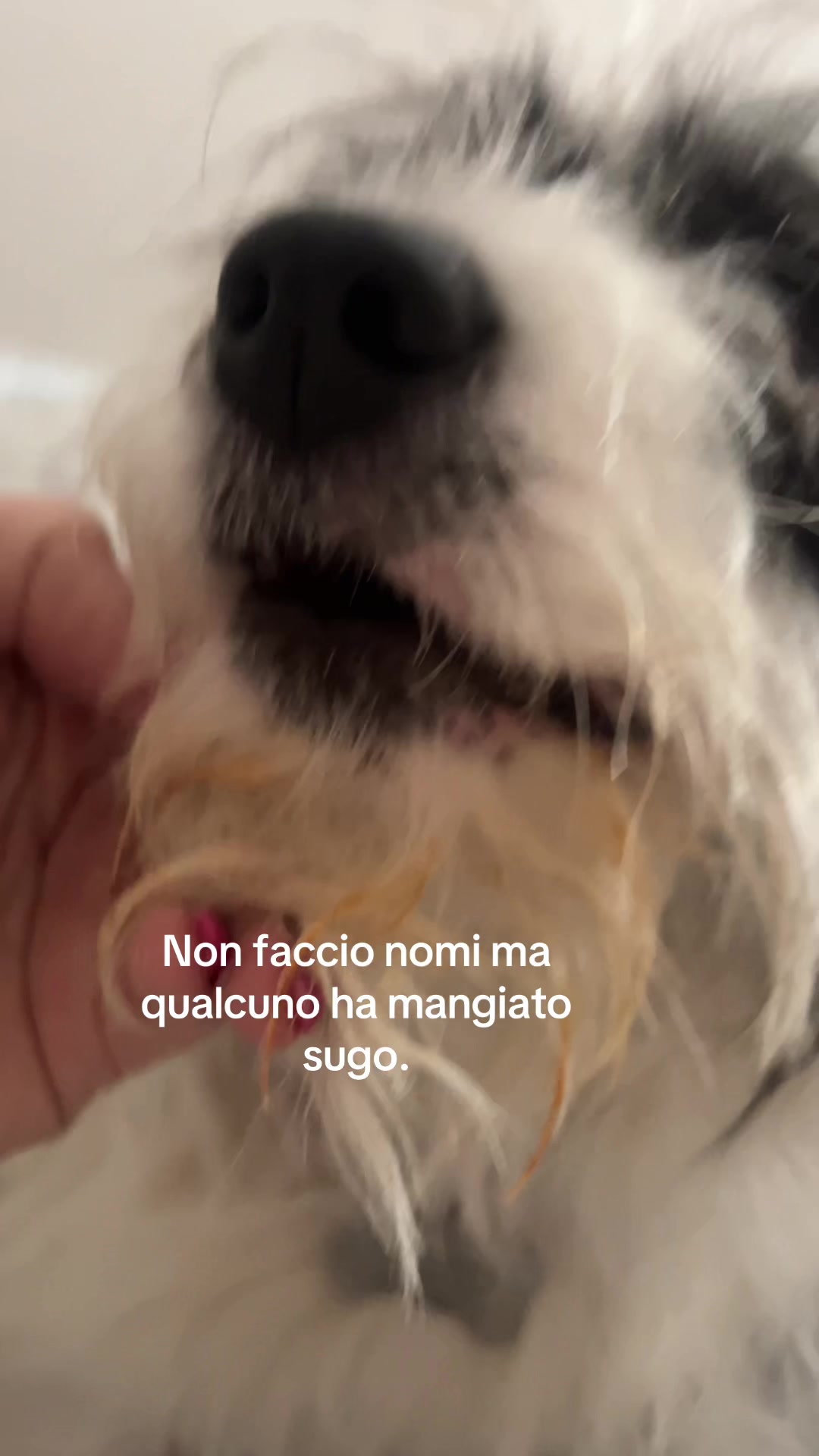 @giuliavitadaprof