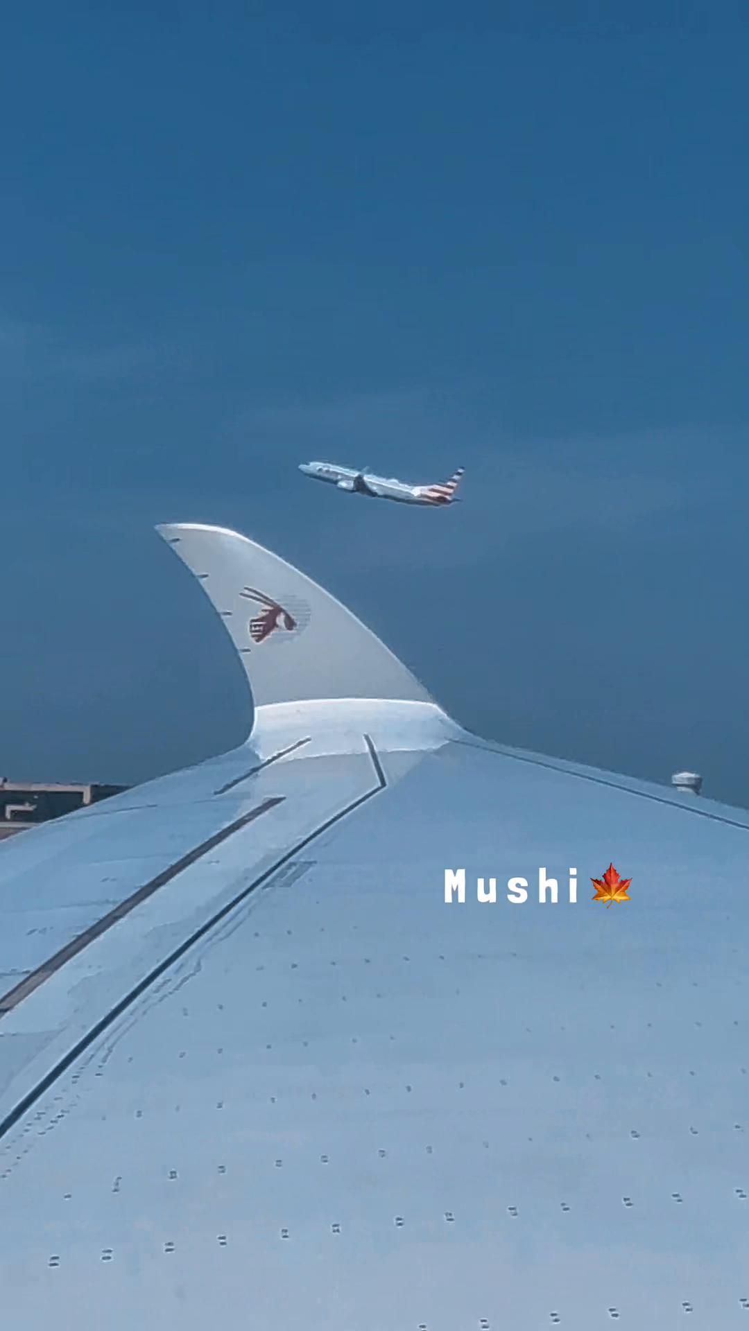@Ayzal🍁Mushi