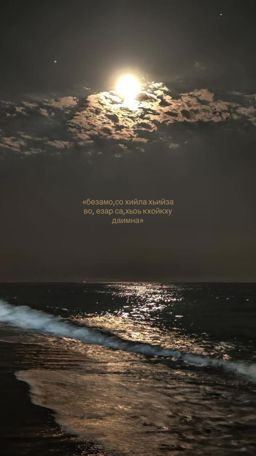 @𝘵𝘨𝘬.𝘥𝘢𝘳𝘨𝘪𝘯𝘴𝘬𝘢𝘺𝘢✪