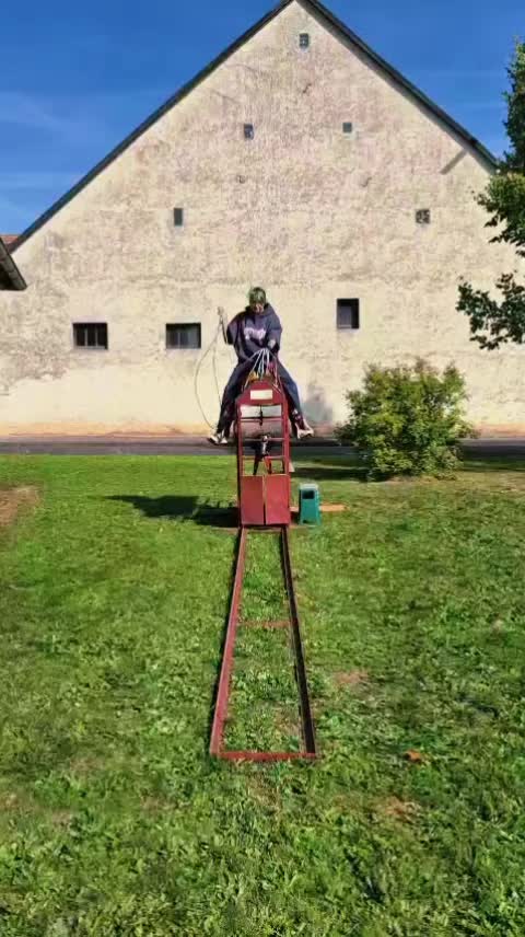 @Farbklecks Pferde