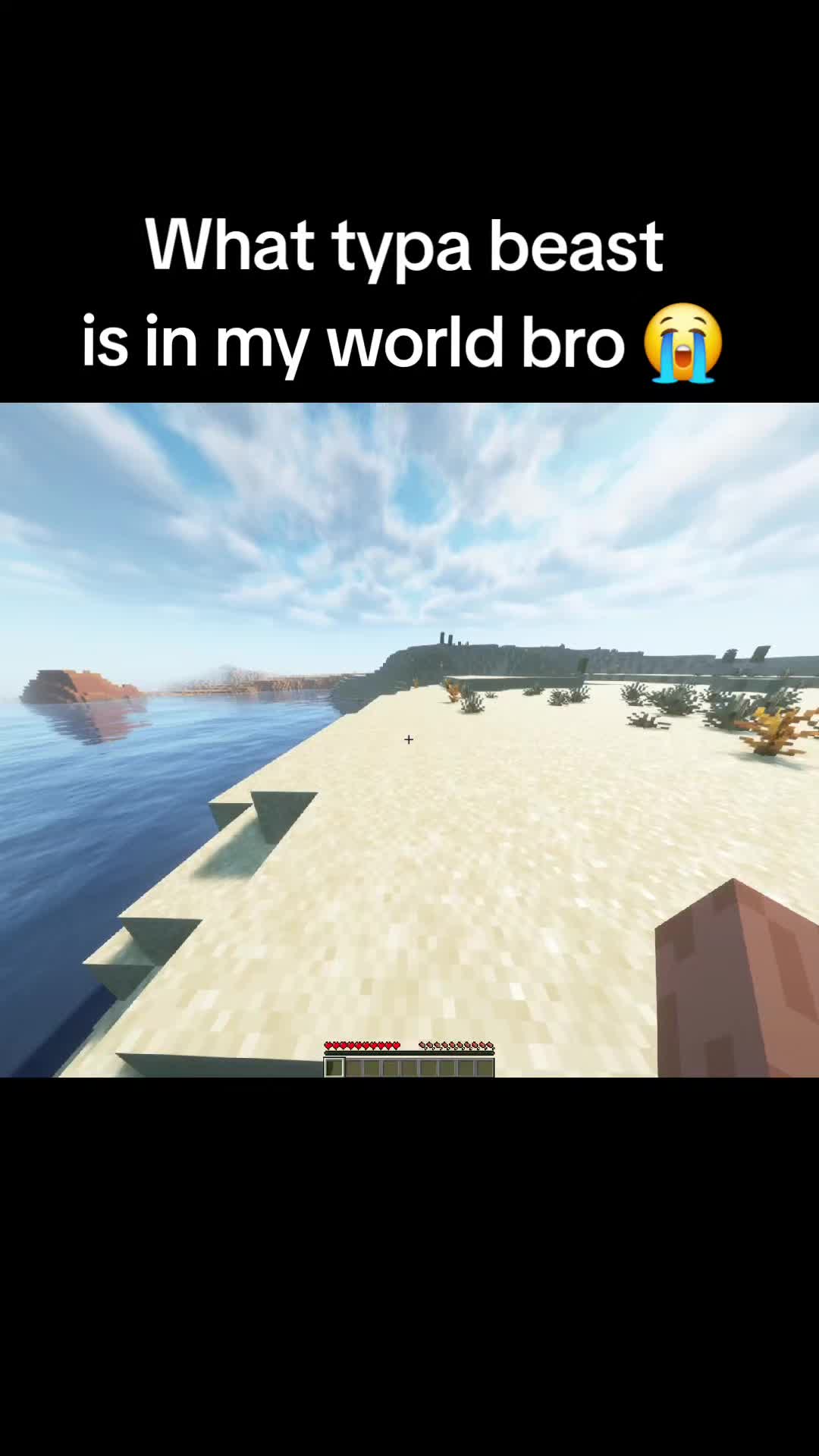 @Drxdmy