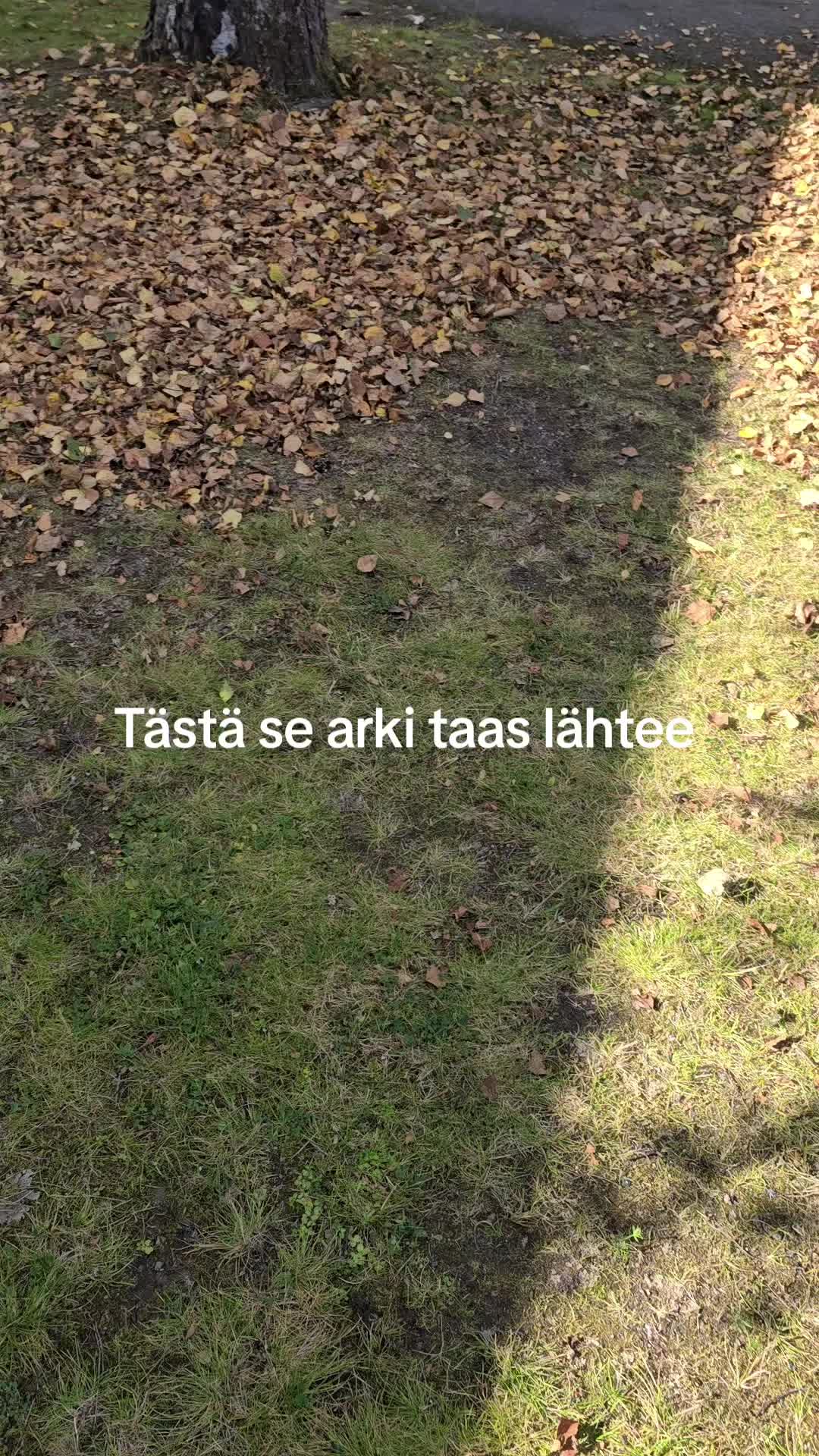 @Seurakuntamestari