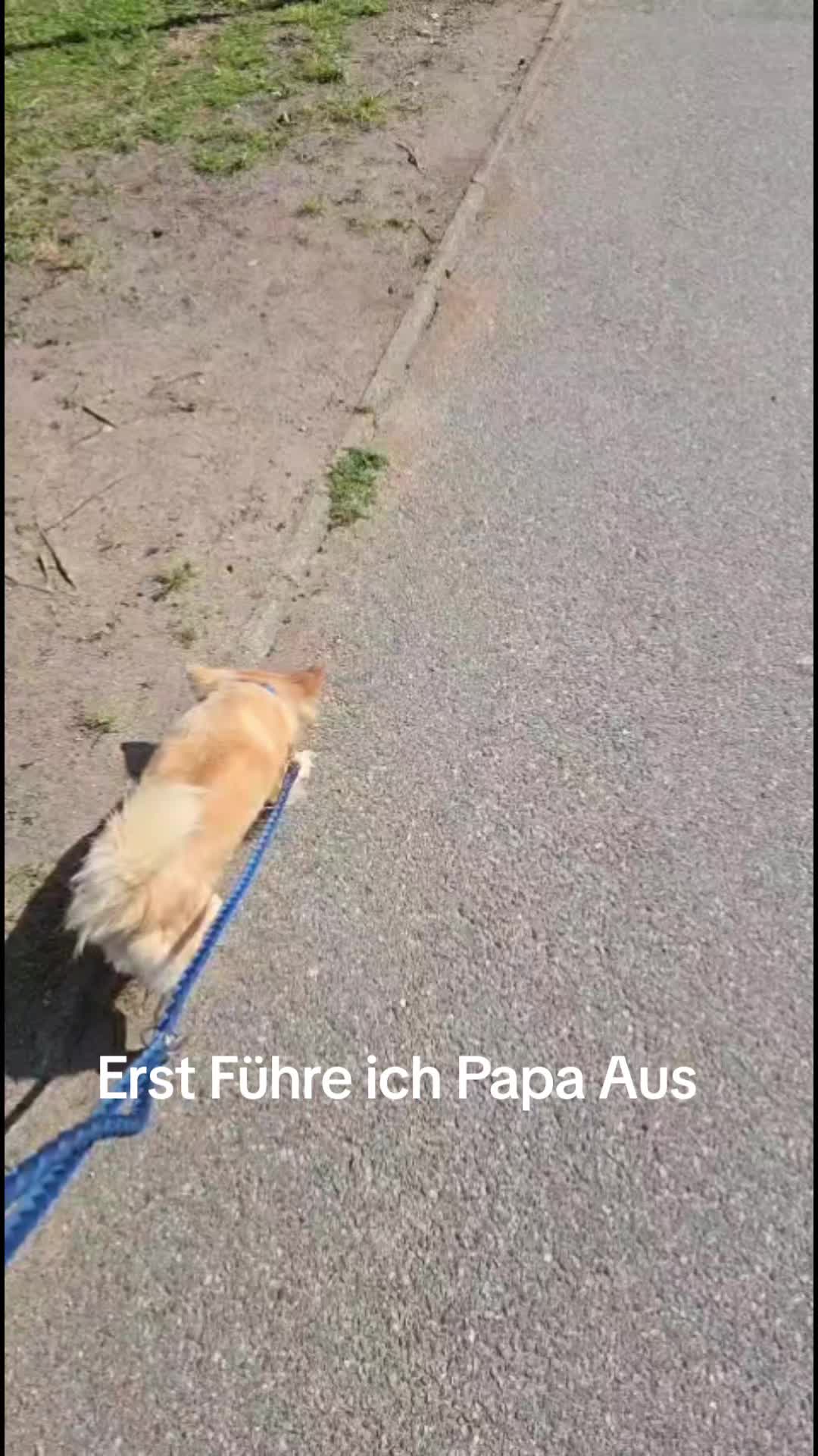 @Katinka, Peach 🐴 und Toffee🐶