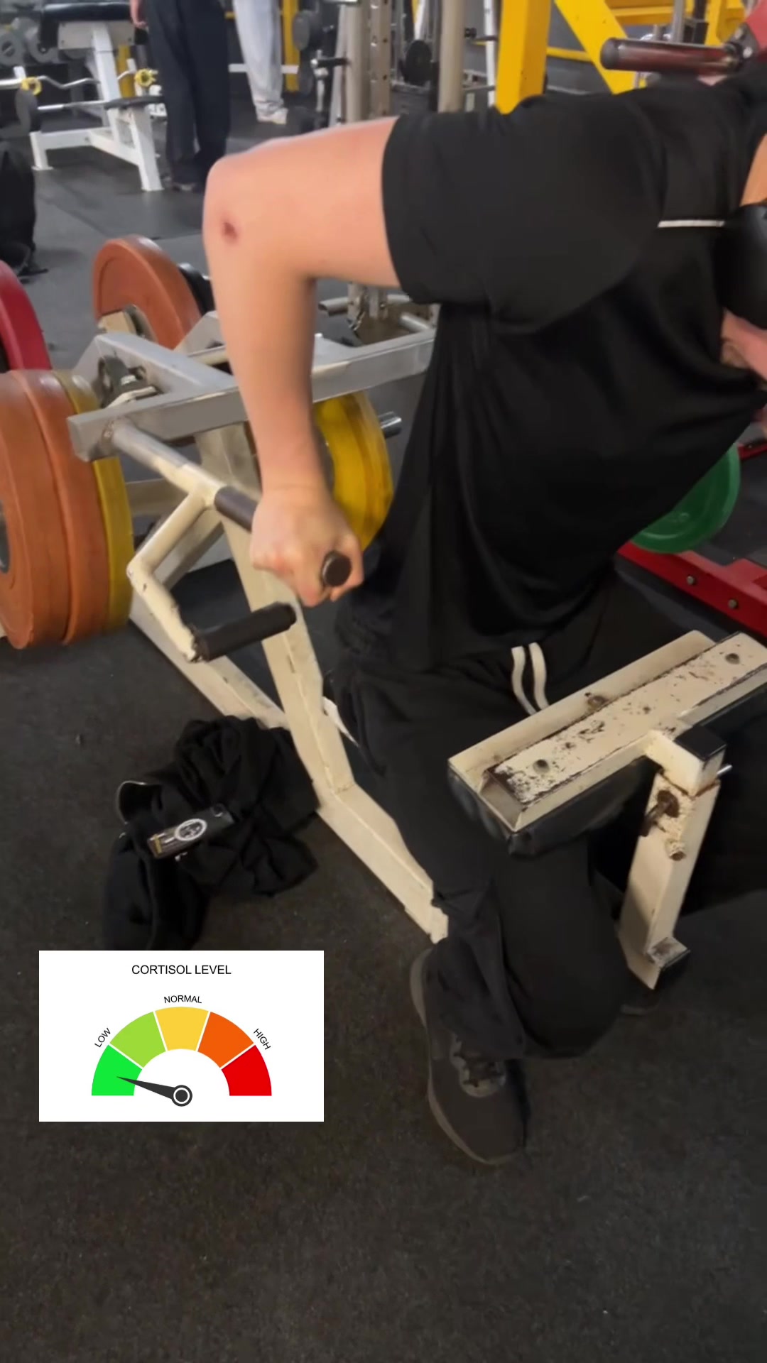 @harrygym