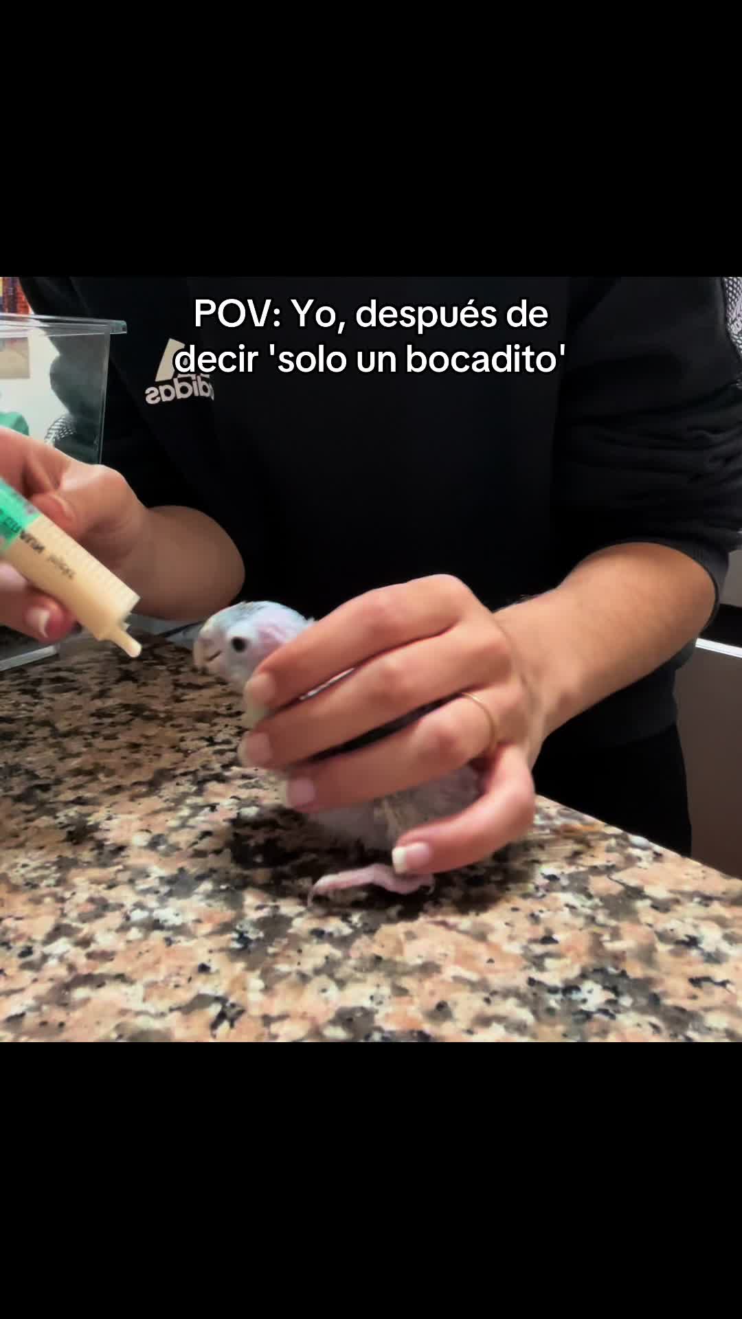 @Carla Basso