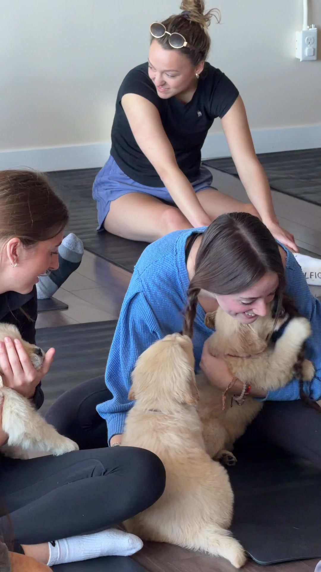 @Muskoka Puppy Yoga