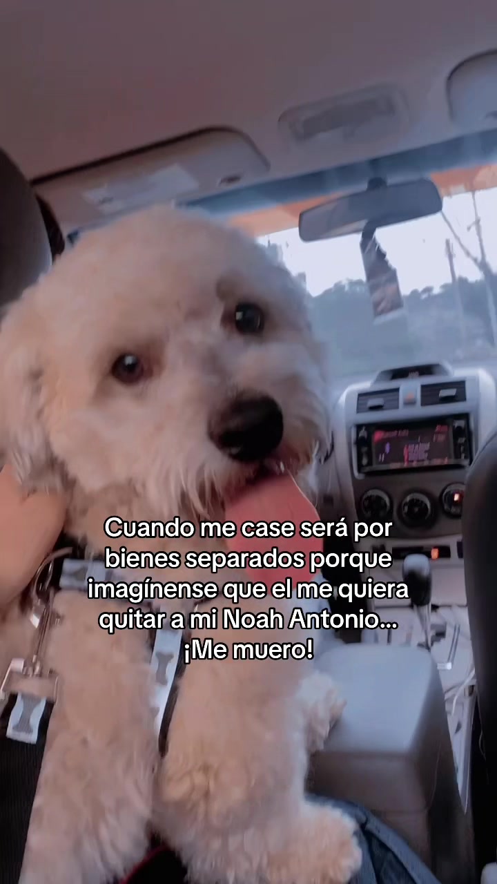 @Sharon Laufters